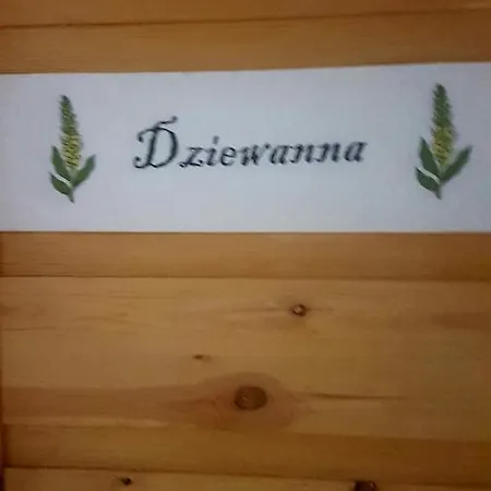 Dziewanna Appartement