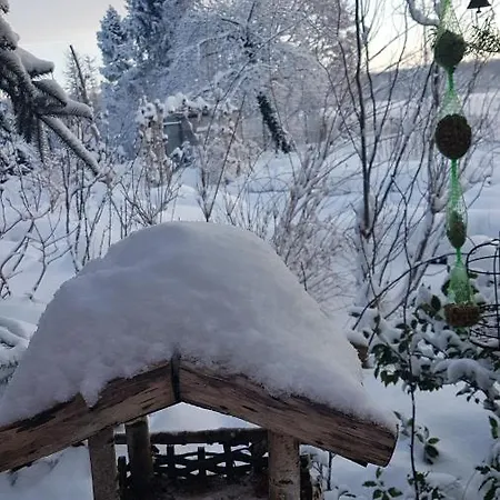 Dziewanna דירה Brzeziniec