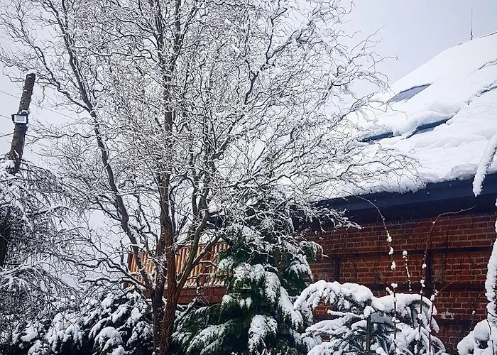 Dziewanna Apartamento Brzeziniec