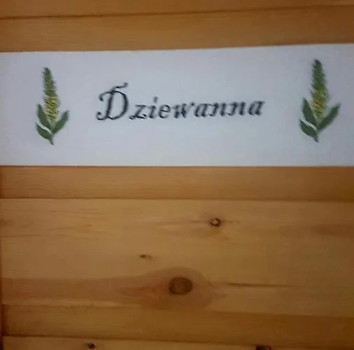 Dziewanna Appartement