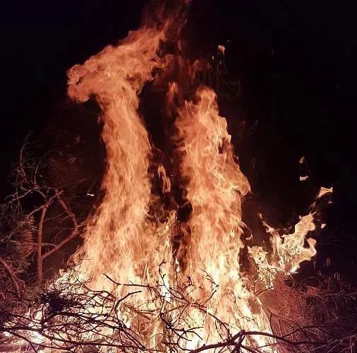 Dziewanna Appartement *