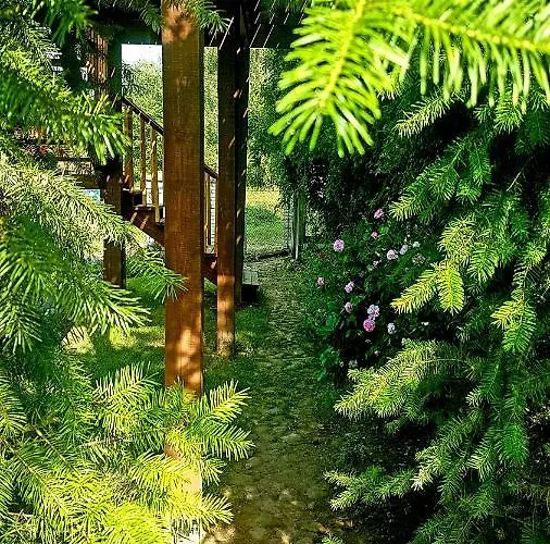 Dziewanna Apartamento *