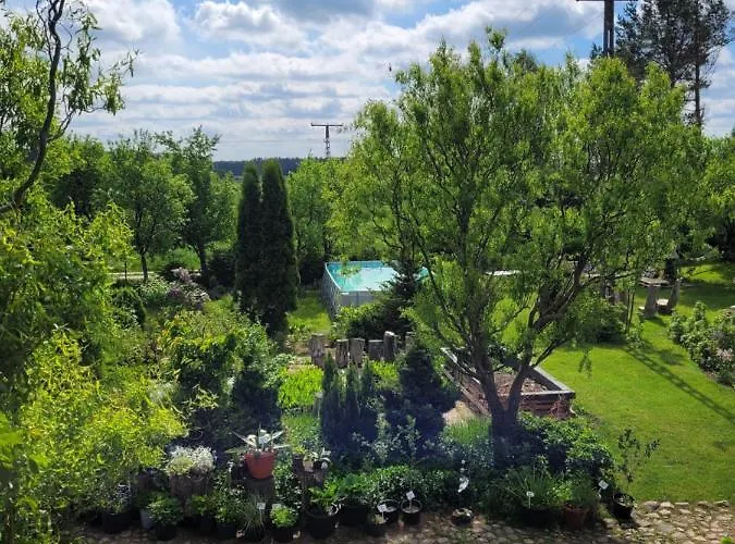 Dziewanna Apartamento Brzeziniec