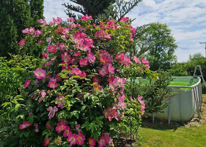 Dziewanna Apartamento